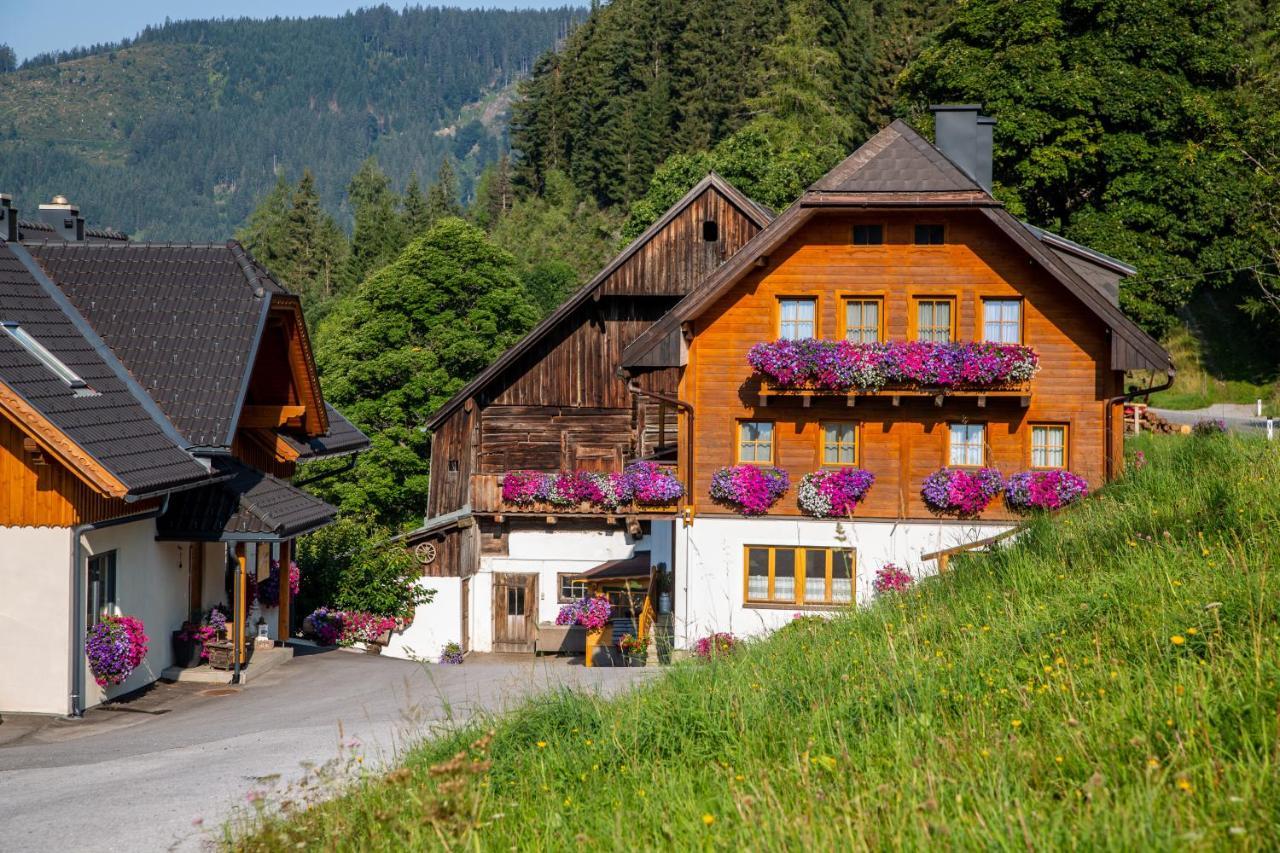 Гостьовий будинок Bio-Bauernhof Grundlehnerhof Рамзау-ам-Дахштайн Екстер'єр фото