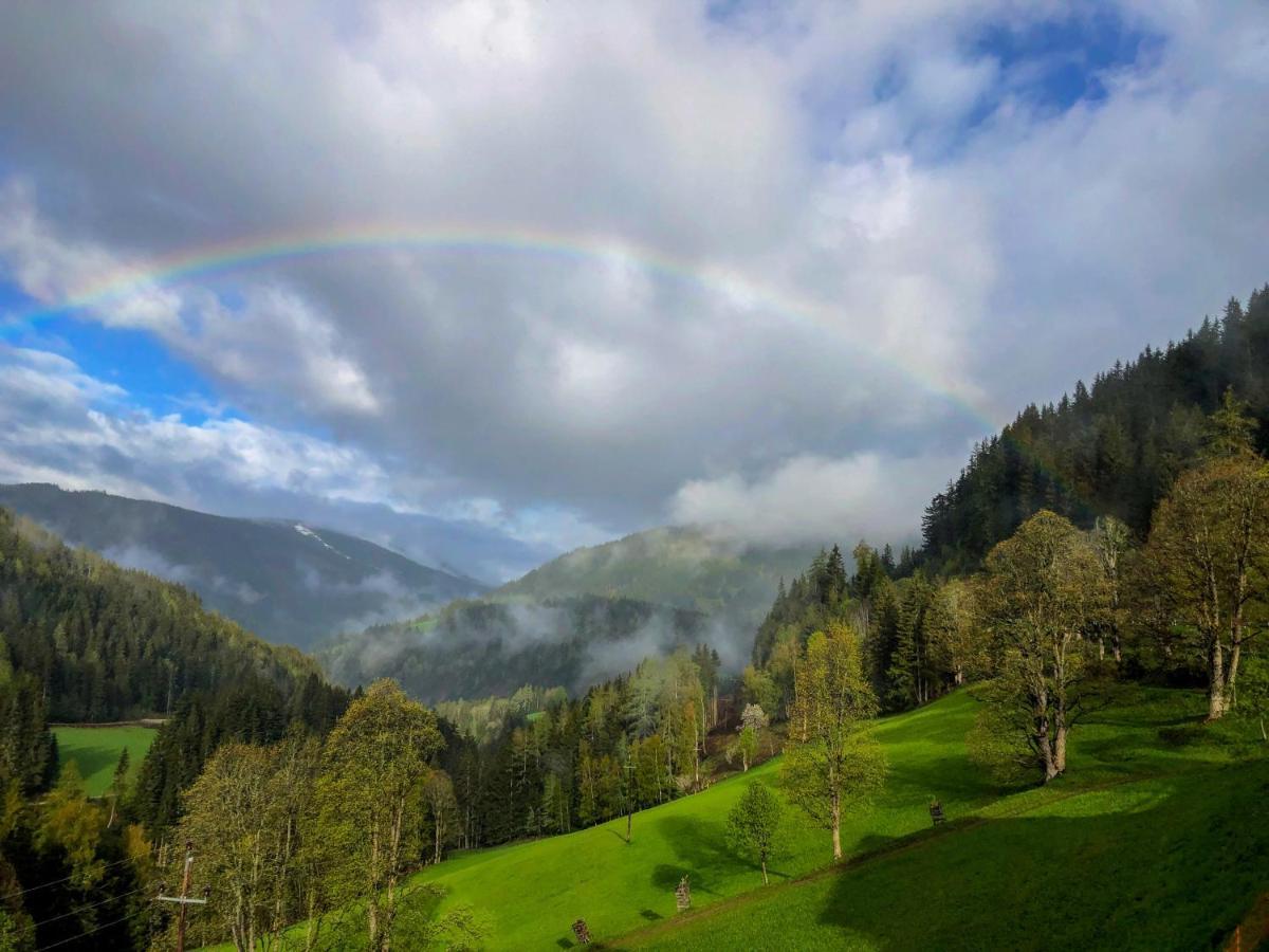 Гостьовий будинок Bio-Bauernhof Grundlehnerhof Рамзау-ам-Дахштайн Екстер'єр фото