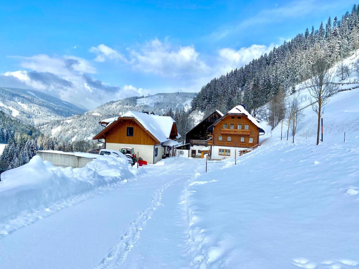 Гостьовий будинок Bio-Bauernhof Grundlehnerhof Рамзау-ам-Дахштайн Екстер'єр фото