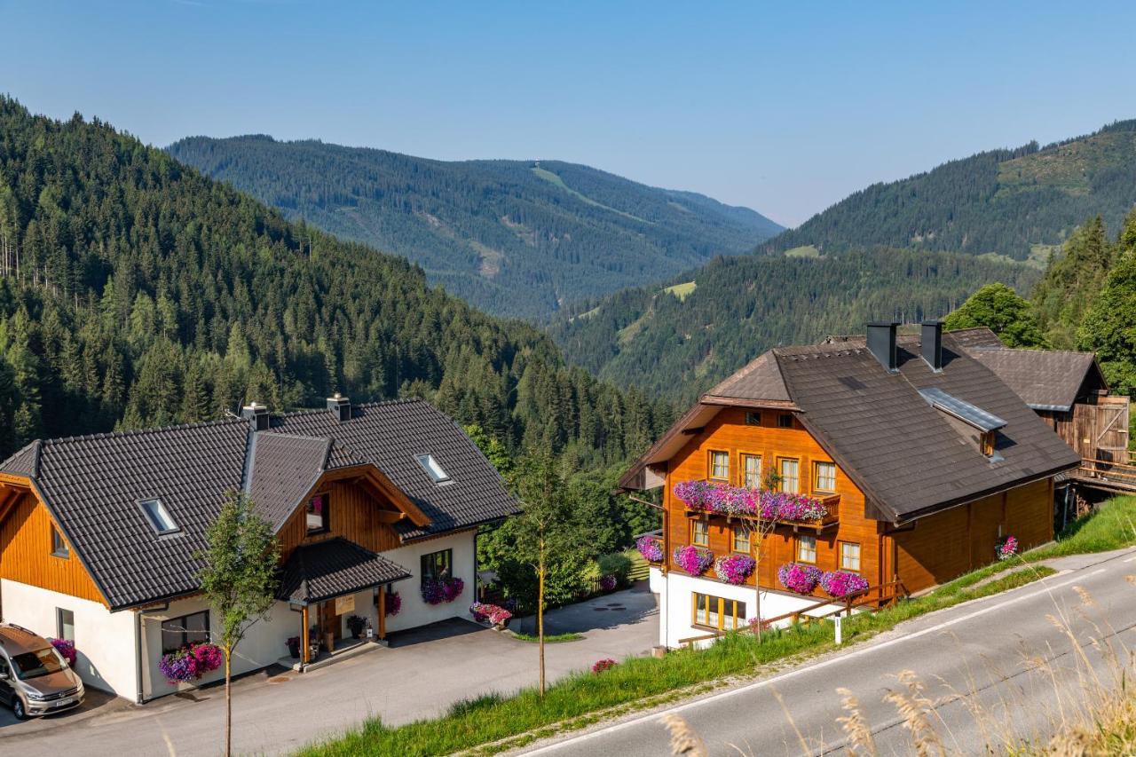 Гостьовий будинок Bio-Bauernhof Grundlehnerhof Рамзау-ам-Дахштайн Екстер'єр фото